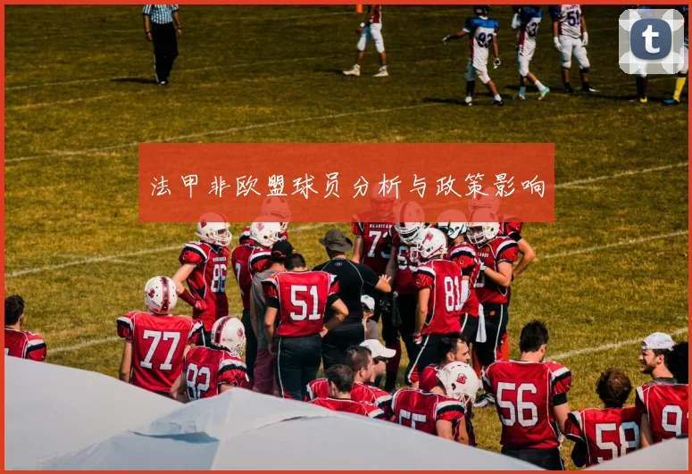 法甲非欧盟球员分析与政策影响