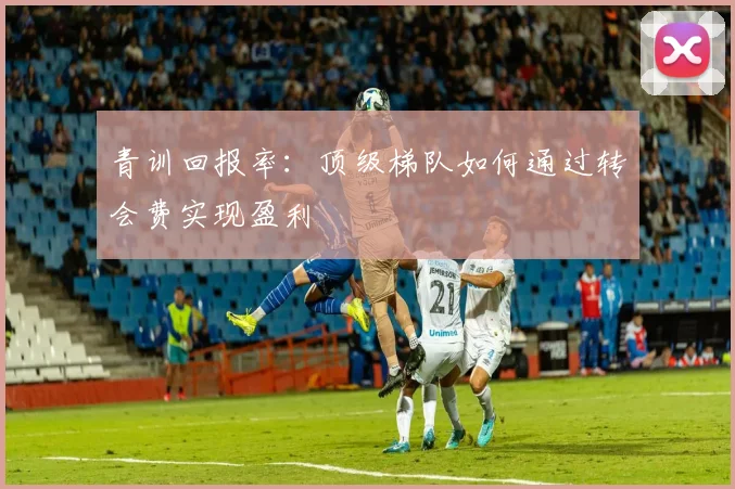 青训回报率：顶级梯队如何通过转会费实现盈利