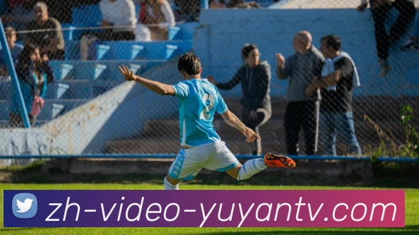 雨燕直播平台生态图