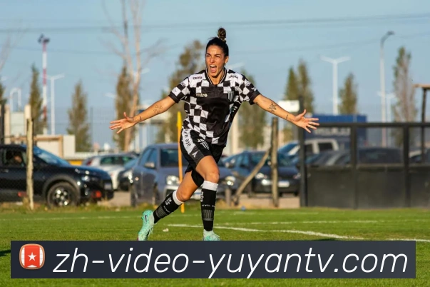 雨燕直播全站App